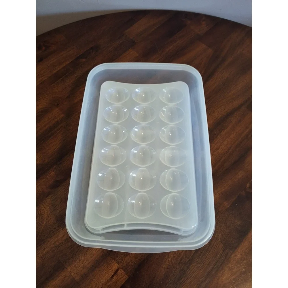 Rachael Ray Insulated Food Carrier Green Striped Bag with Deviled Egg Tray Set
